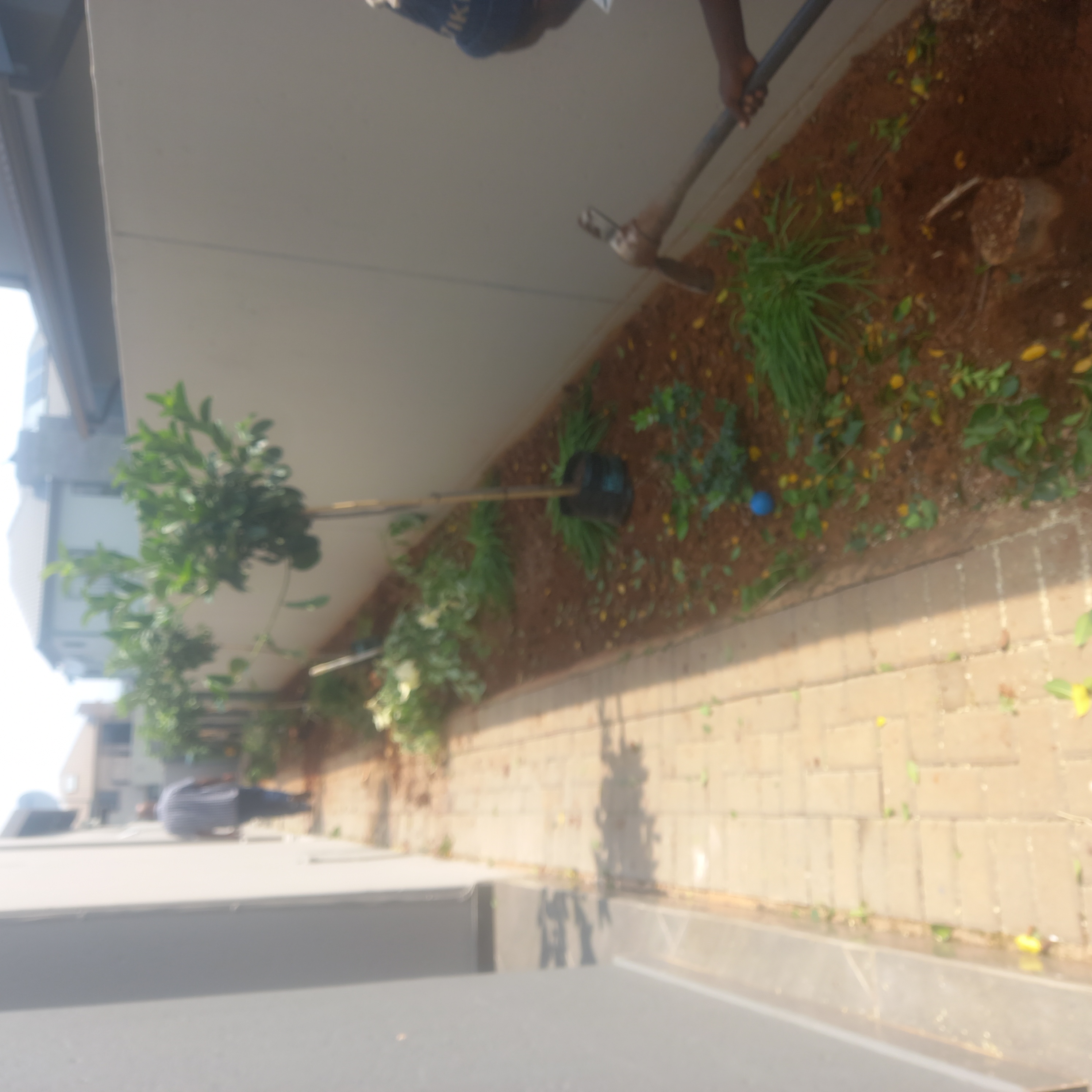 1230706b-80f9-492e-b197-8cf6f5e363c2-1_all_1152