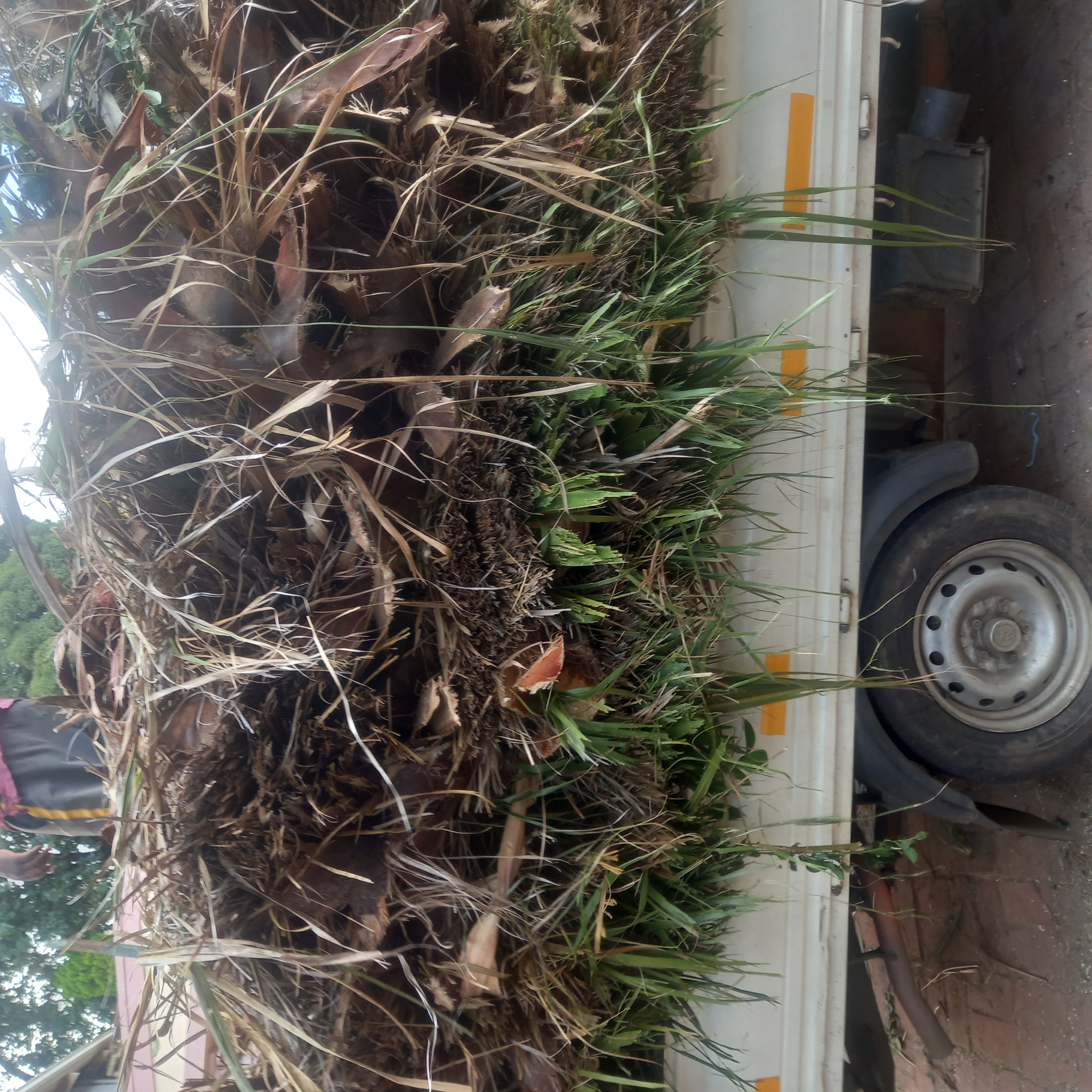 1230706b-80f9-492e-b197-8cf6f5e363c2-1_all_1177