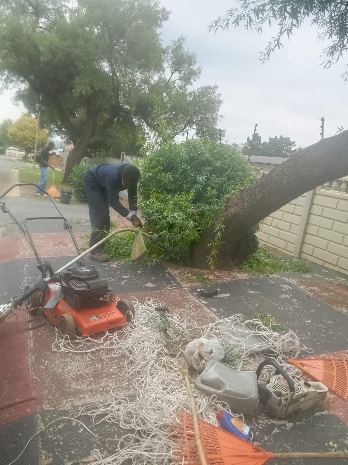 garden service in Witpoortjie